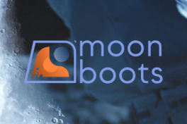 https://moonbootscapital.io